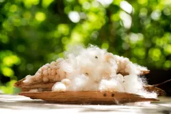 Kopfkissen aus weichem Kapok mit Baumwollbezug