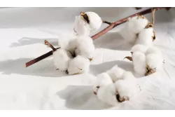 Guanciale in puro cotone - 100% Naturale