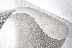 Japanese rice paper coatings